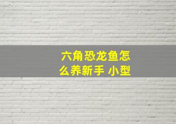 六角恐龙鱼怎么养新手 小型